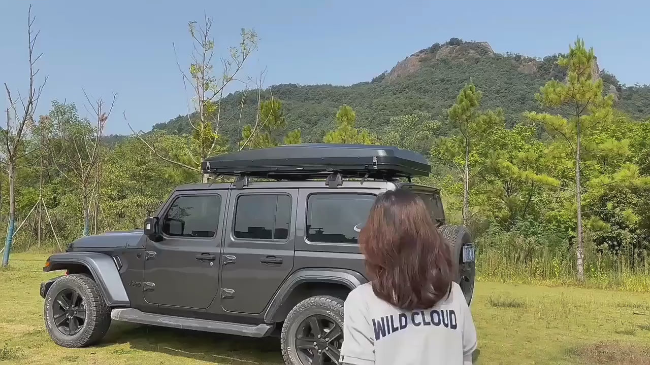 Vidéo