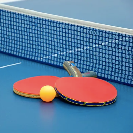 Tennis de Table Extérieure